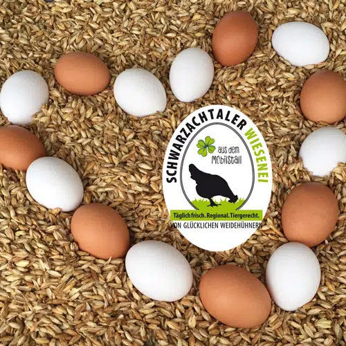 Schwarzachtaler Wieseneier Logo