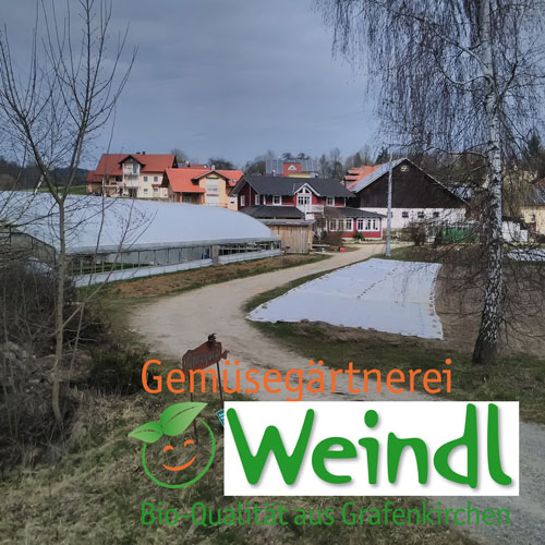 Weindl Logo