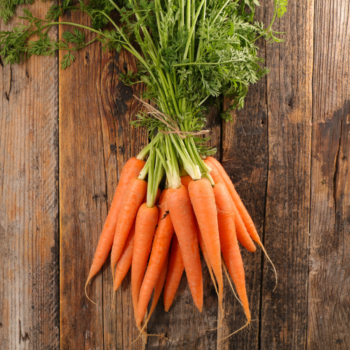Karotten “Orange” – Bio