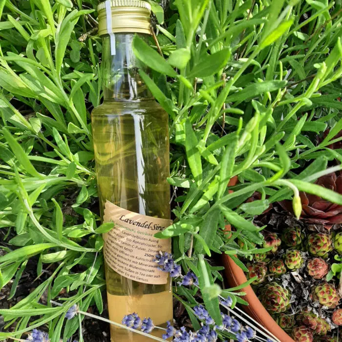 Lavendel Sirup Moni´s Naturkost