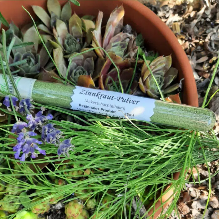 Zinnkraut Pulver Moni´s Naturkost