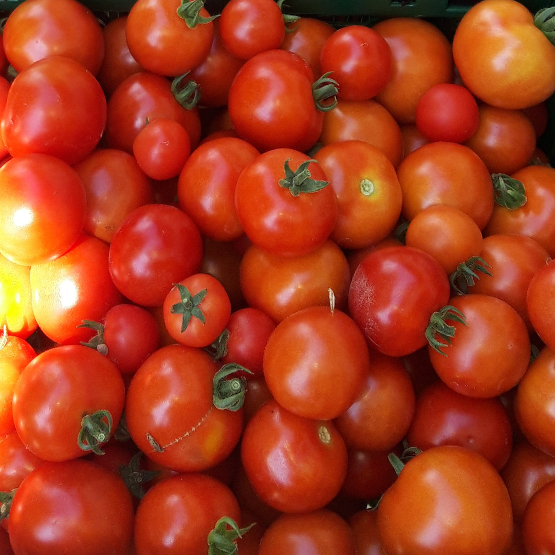 Tomaten Heitzer