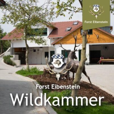 Wildkammer Forst Eibenstein großes Haus