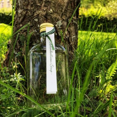 Holunderblütensirup auf Baum und Wiesen