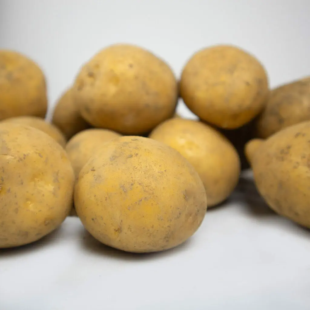 Eine Gruppe von Anuschka-Kartoffeln mit einer erdigen Oberfläche auf einem weißen Hintergrund.