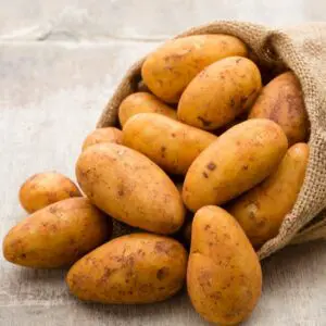 Viele frische Kartoffeln im Jütesack