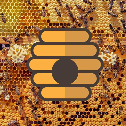 Viele Bienen an Honigstelle