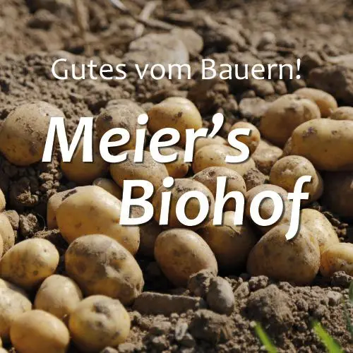 Viele Kartoffel in frischer Erde