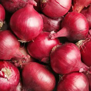Viele rote Speisezwiebeln