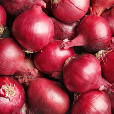 Viele rote Speisezwiebeln