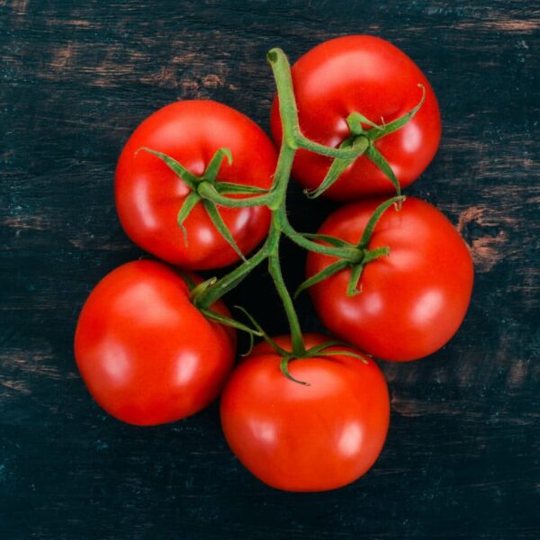 Bund roter Tomaten auf schwarzem Hintergrund