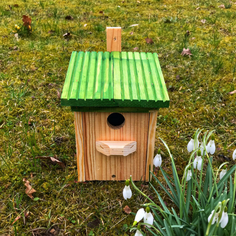 Vogelhaus auf Wiese mit Schneeglöckchen