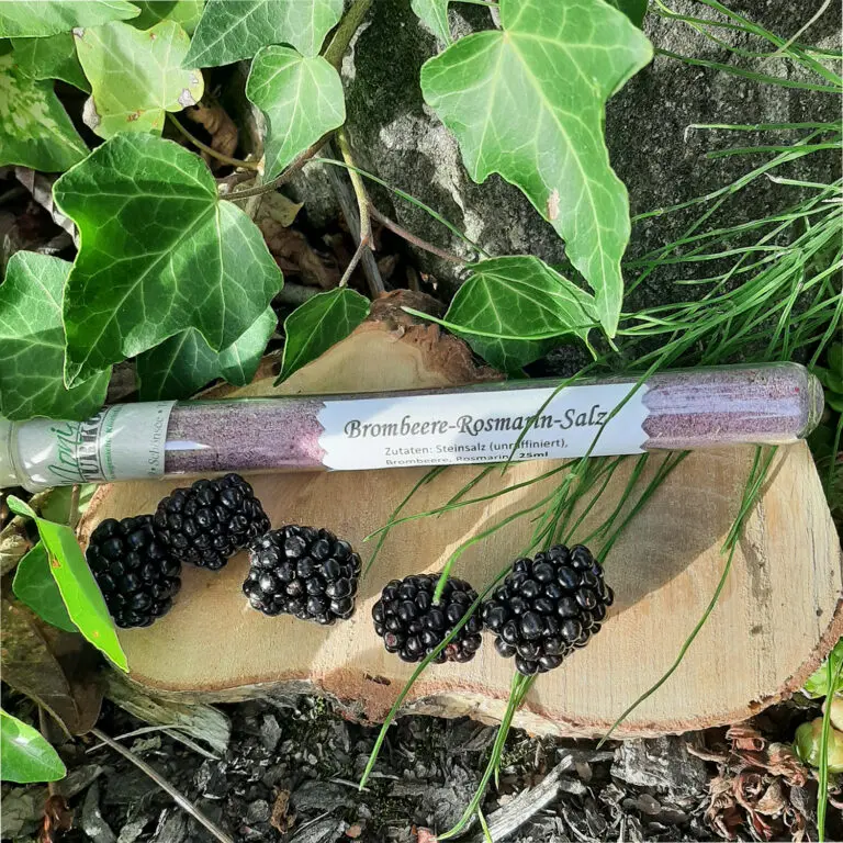 Brombeere-Rosmarin Salz im Glas auf frischen Brombeeren