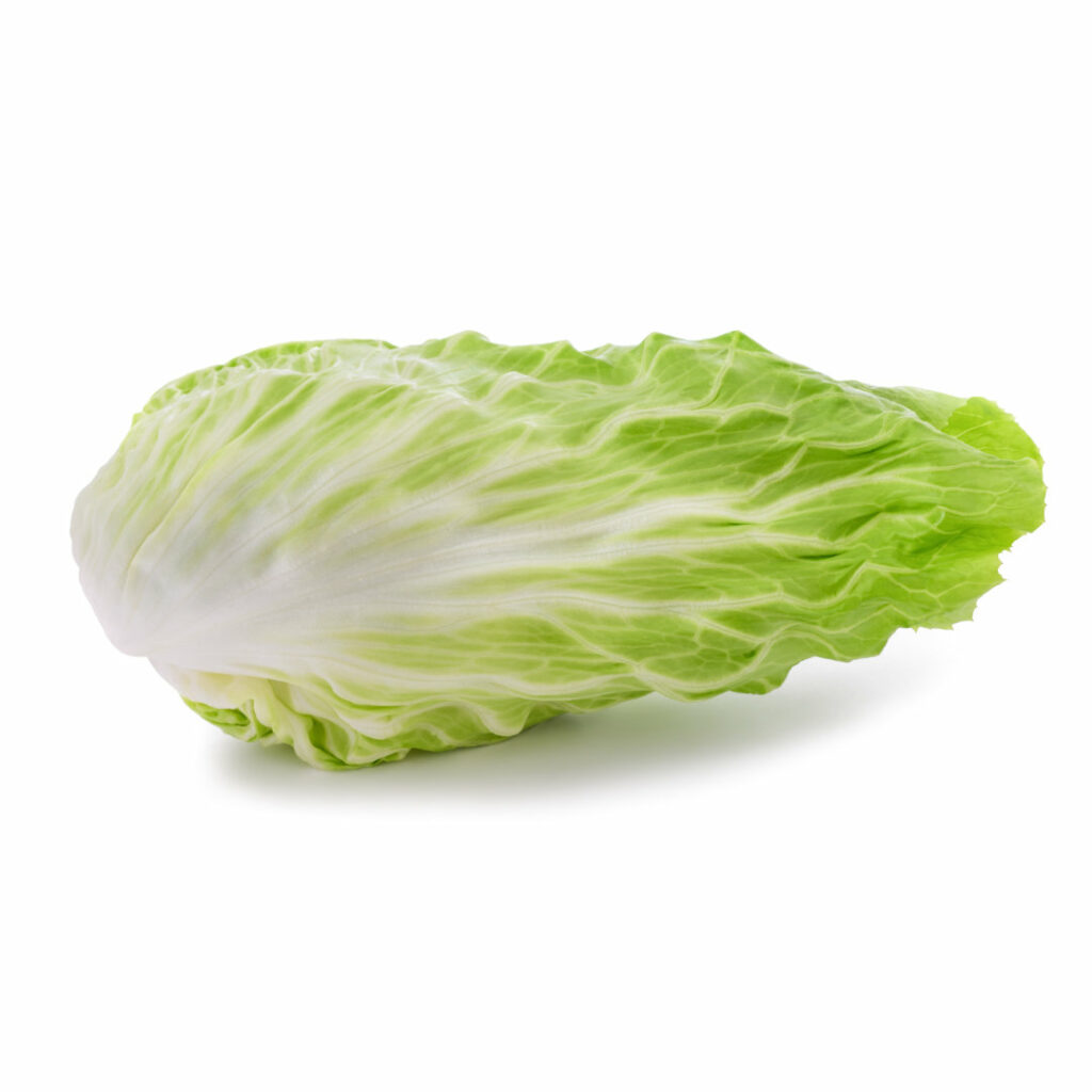 Salat Zuckerhut