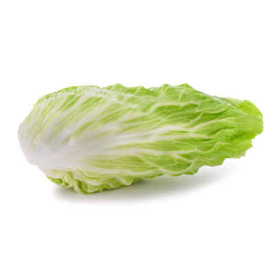 Salat Zuckerhut