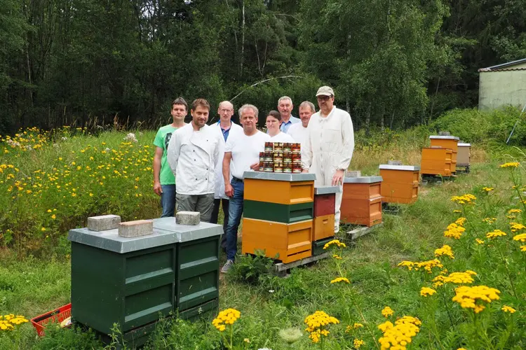 Gruppe von Imkern steht vor mehreren Bienenstöcken in einem Feld.