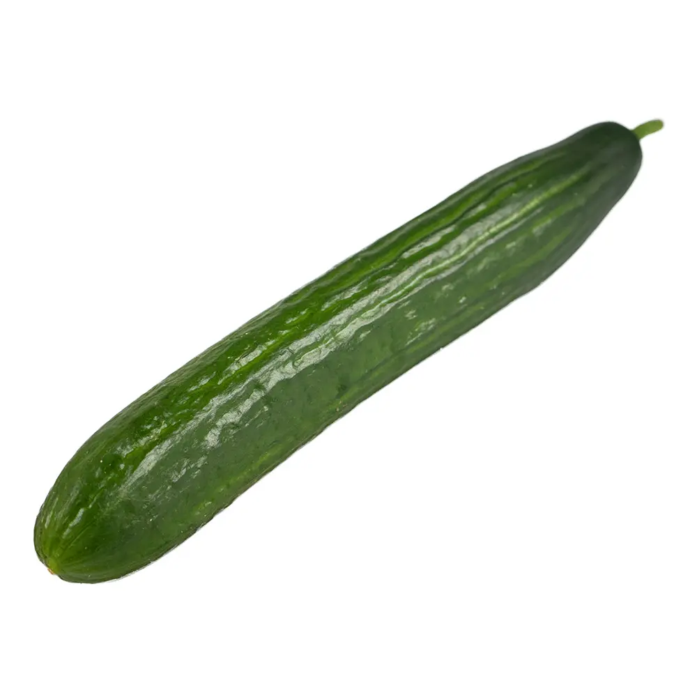 Bio-Gurke Bio Gurke, Salatgurke