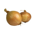 Bio Speise Zwiebel gelb