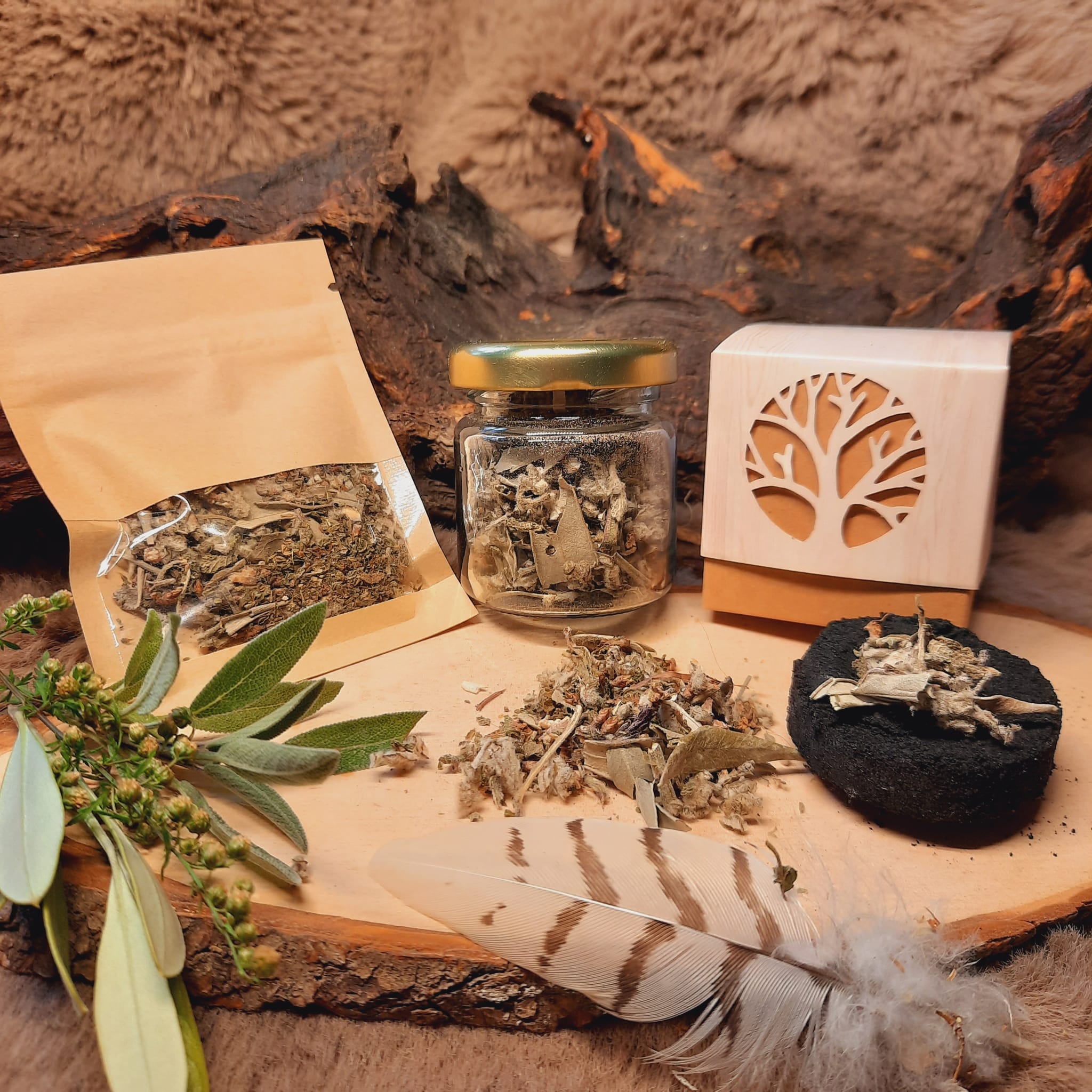 R21 Reinigung Reinigung R21 – Bild 1